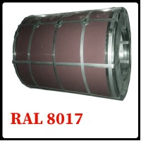 Рулонная сталь – гладкий лист с полимерным покрытием 0,5 мм 8017