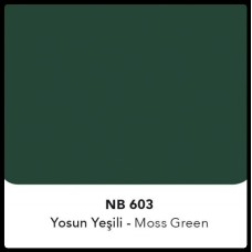 АКП NATURALBOND 4 mm NB 603 Moss Green