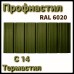 Профнастил с 14 Термастил - 0,45 мм Ral 6005 зеленый Украина