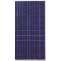 Perlight Solar PLM-320P-72  Поликристаллическая солнечная панель